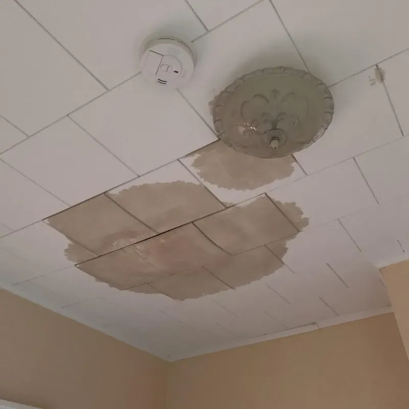 Ceiling Water Damage Repair in Marshall County, TN