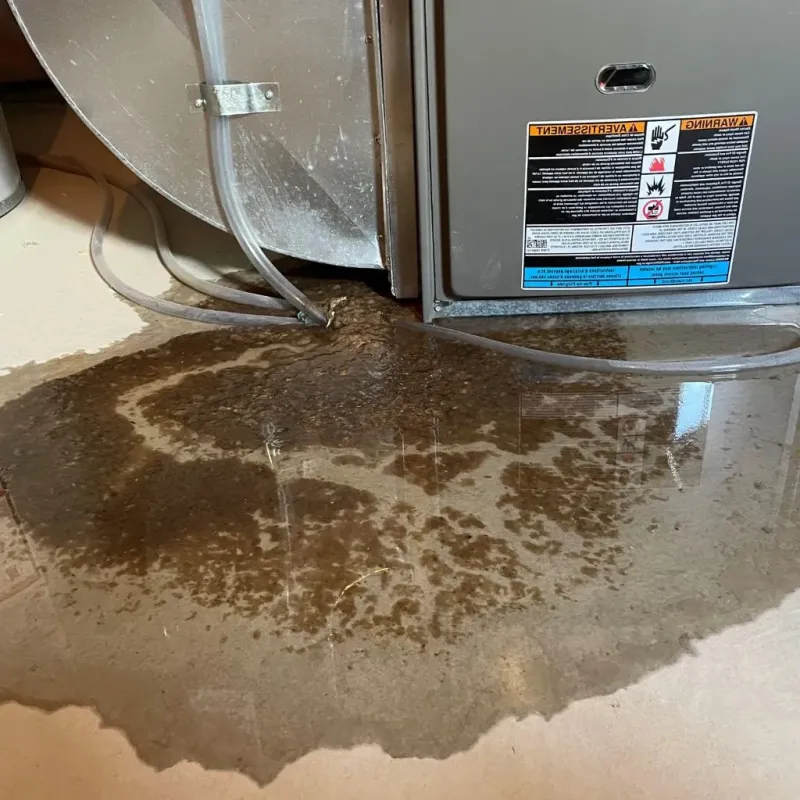 Pipe Burst and Leak Restoration in Marshall County, TN