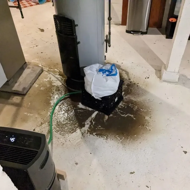 Sewage Backup Cleanup Service in Marshall County, TN